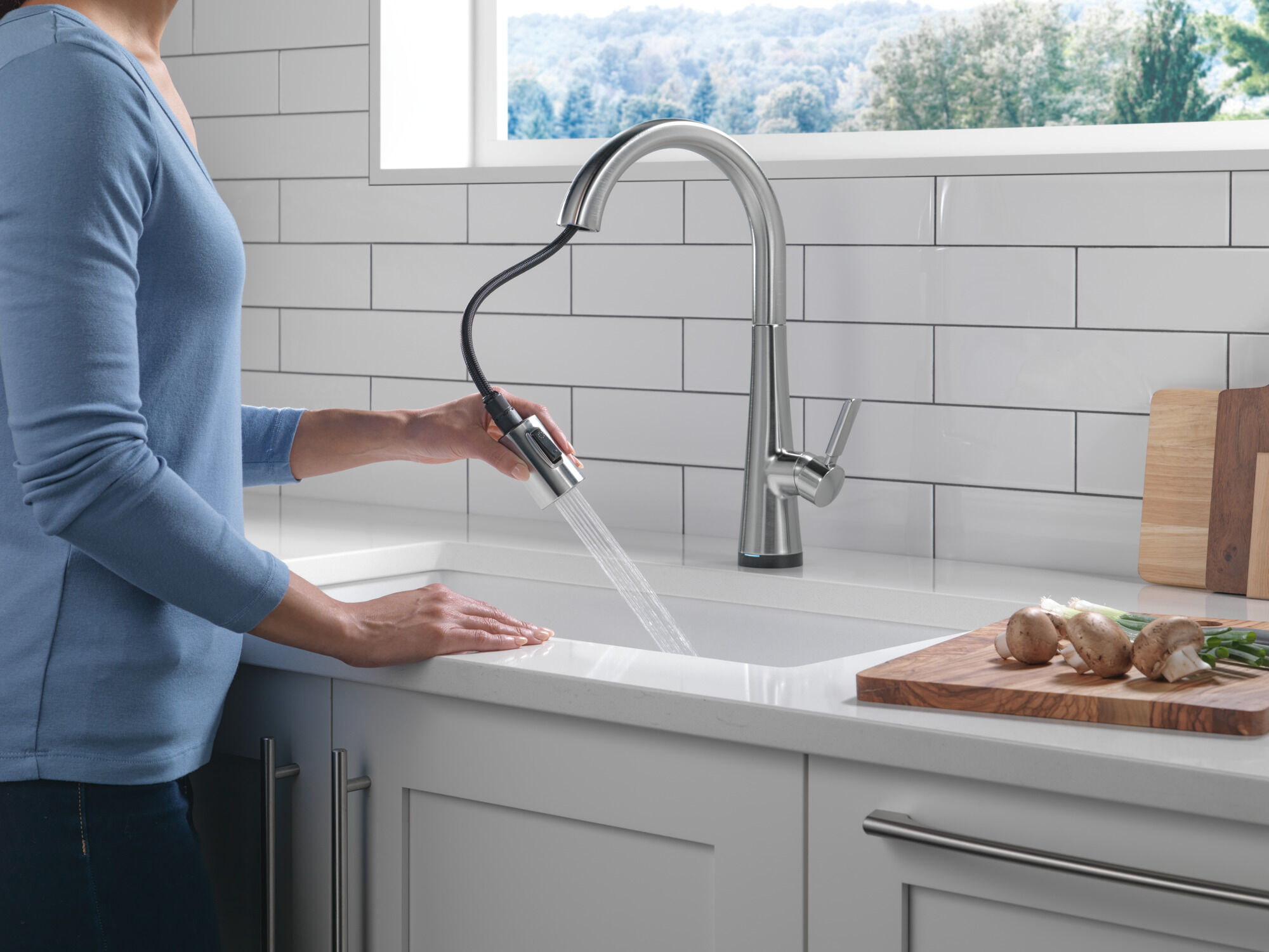 Single Handle Pull-Down Kitchen Faucet With Touch2O Technology in