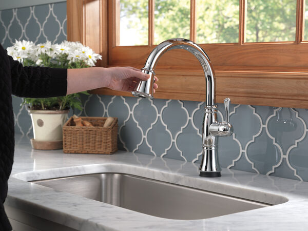 Single Handle Pull-Down Kitchen Faucet with Touch2O® and ShieldSpray®  Technologies in Chrome 9197T-DST Delta Faucet