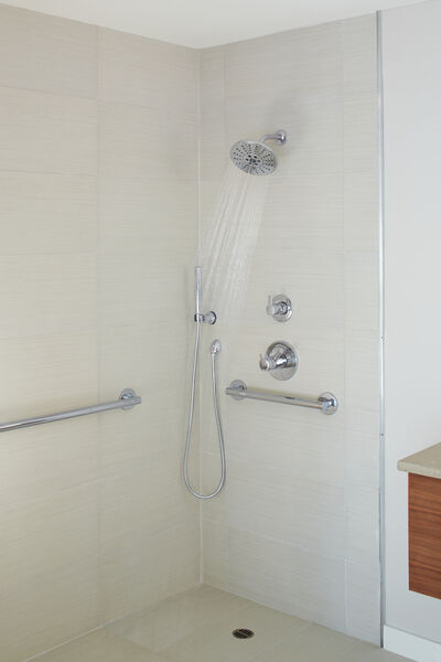 Premium Single-Setting Adjustable Wall Mount Hand Shower