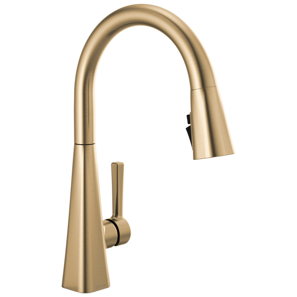 Pull-Down Kitchen Faucet 1L (Recertified) in Champagne Bronze 