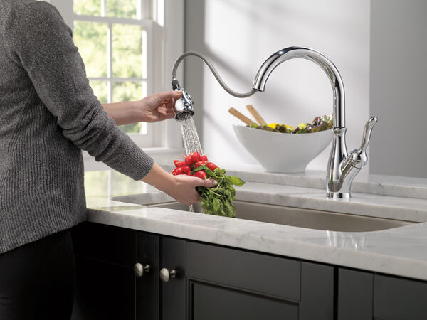 Single Handle Pull-Down Kitchen Faucet with ShieldSpray® Technology in  Chrome 9178-DST Delta Faucet
