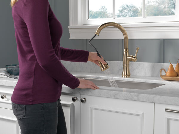 Single Handle Pull-Down Kitchen Faucet with ShieldSpray® Technology in Champagne  Bronze 9197-CZ-DST Delta Faucet